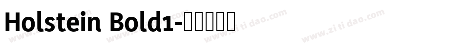 Holstein Bold1字体转换